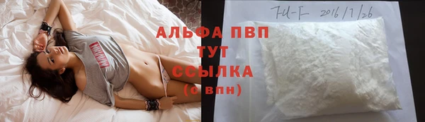 амф Володарск